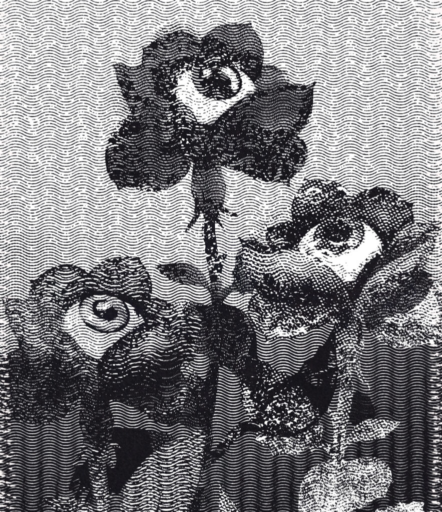 Gerasterte Grfaik in schwarz-weiß von drei Rosen mit Glubschaugen in der Mitte.