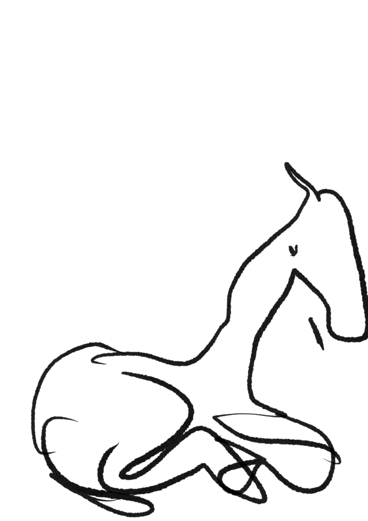 Abends Zeichnen: Sehen ohne Schauen